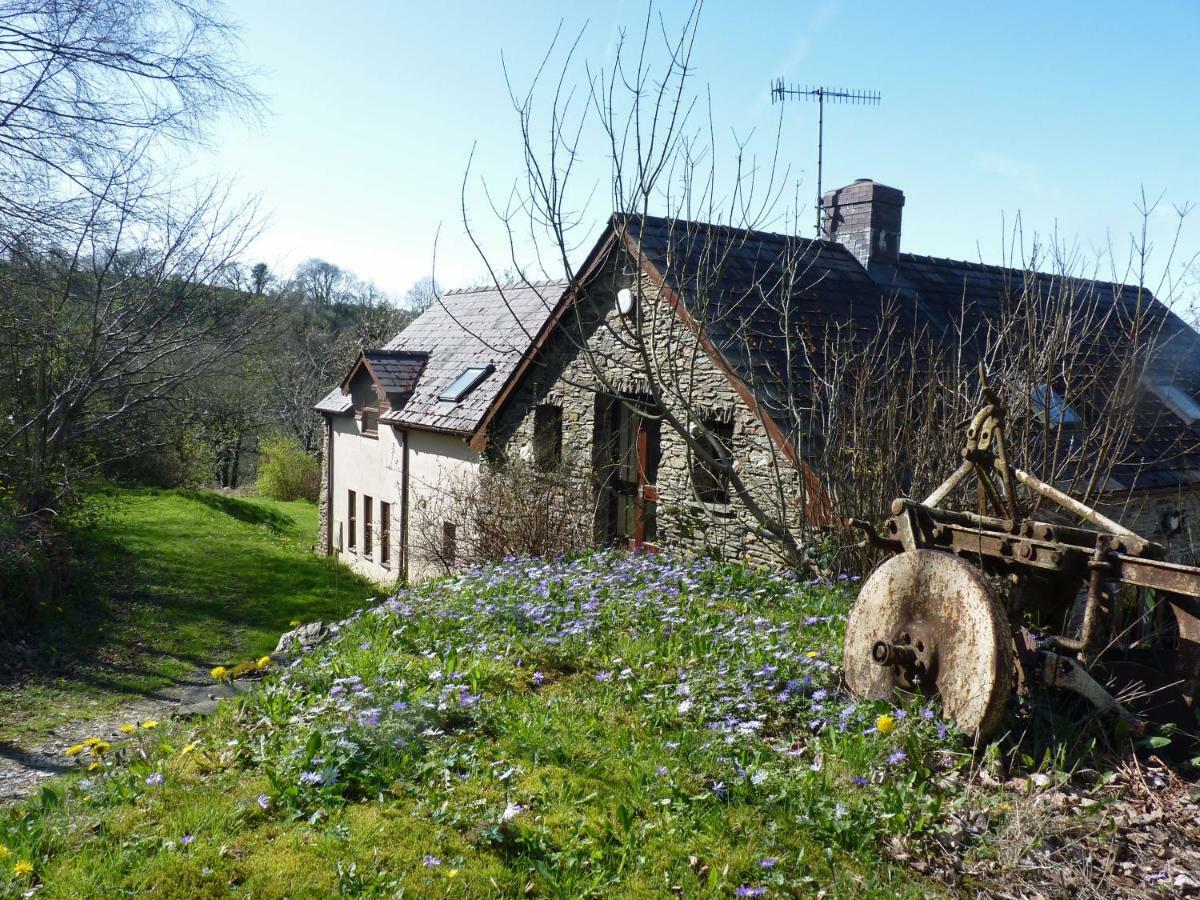 Ceridwen Holiday Homes Llandysul Exteriör bild